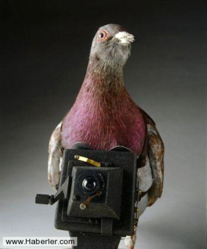Gvercine monte edilebilen kamera
