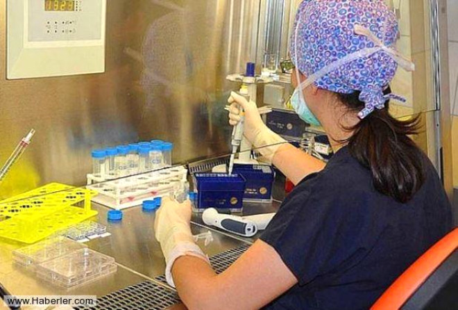 ngiliz bilim adamlar, laboratuvar ortamnda ilk kez btn ilevlerini yerine getiren organ retti.
