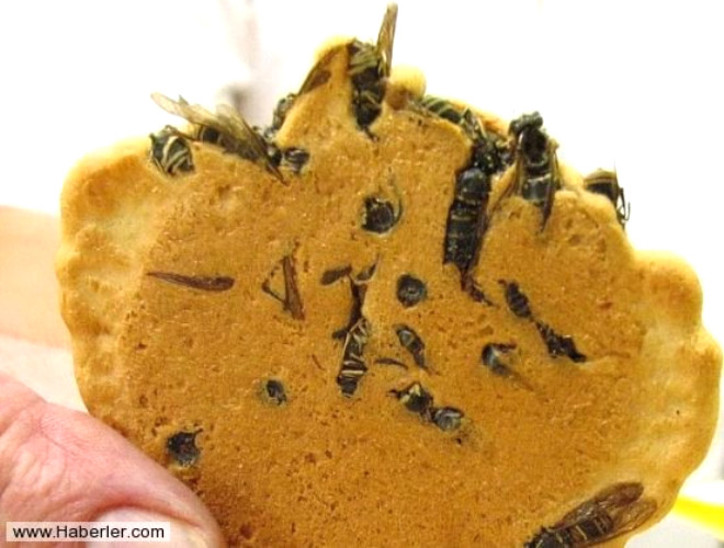 Eek arl krakerler (Japonya). Eek arlar yakalanp kaynatlyor sonra da krakerlerin iinde frna veriliyor. Ayrca bu eek arlarnn %81 protein ierdii syleniyor.
