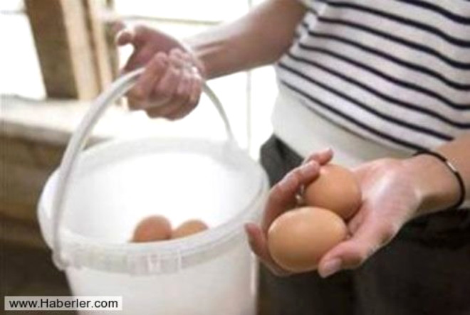 Yumurtann tmne yakn protein, bu nedenle nemli lde tokluk hissi veriyor. ki ince dilim, esmek ekmek, az miktarda yasz peynir ve bir adet halanm yumurta ile yapacanz kahvalt gn boyu daha tok hissetmenizi salyor.
