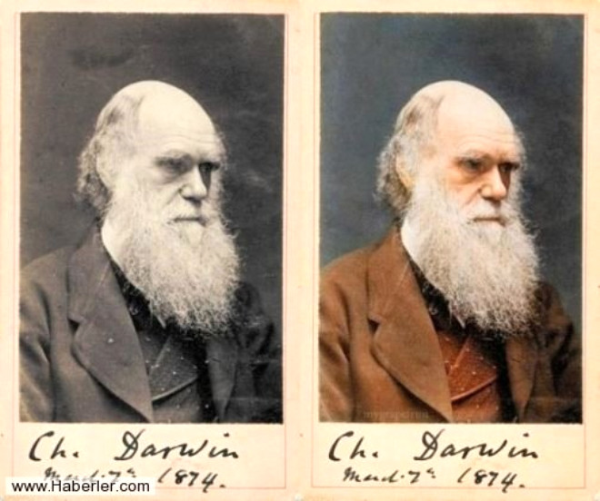 ngiliz biyolog ve doa tarihisi Charles Darwin. Yl 1874
