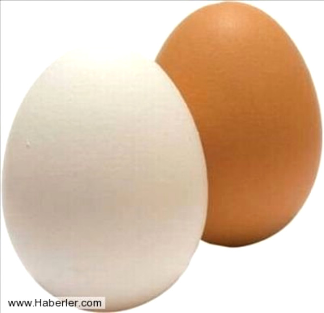 Daha ok kabul gren bir dier gre gre ise beyaz kabuklu yumurtalar beyaz ibikli ve kulak memesi beyaz olan tavuklar tarafndan yumurtlanyormu. bik ve kulak memesi krmz olanlar ise kahverengi kabuklar olanlar yumurtluyormu
 
