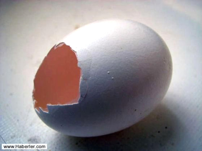 Yumurta hakknda bilinmeyenleri sizler iin aratrdk. te o ilgin bilgiler...
