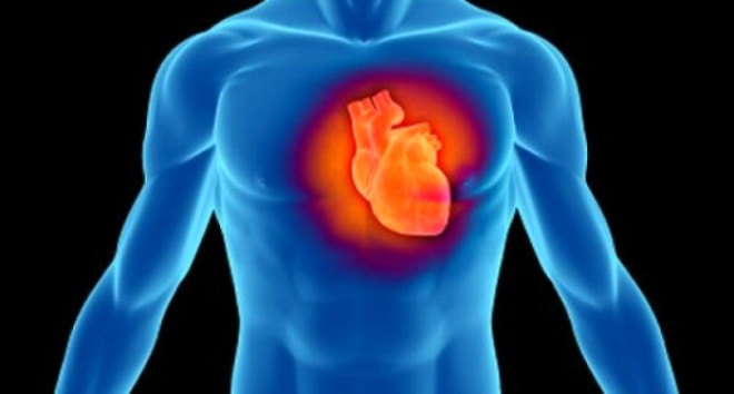 Kalp dakikada yaklak 70 kere, bir ylda yaklak 35 milyon kere, ortalama bir mr boyunca ise 2 trilyon kere atacaktr. Tm hayat boyunca yaklak 227 milyon litre kan pompalayacaktr.
