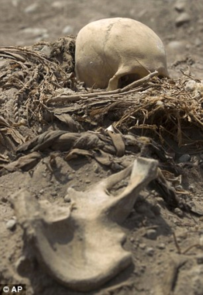Arkeolojik almalar sonucu bir spor merkezinin yaknlarnda bulunan 11 tane mezarda, iskelet , kafatas ve kemikler bulundu...
