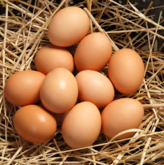Yumurtann tmne yakn protein, bu nedenle nemli lde tokluk hissi veriyor.

