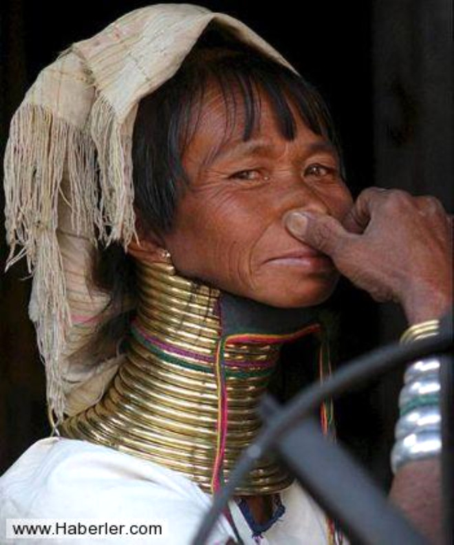 Длинная шея признак. Женщины племени Падаунг. Длинная шея у женщин. Самая длинная шея у женщины.