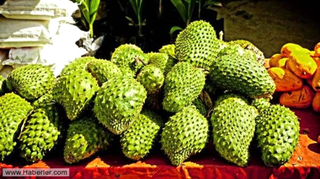 Guanabana hakknda ortaya atlan bir baka iddia ise, bilim insanlarnn bu meyveyi uzun sredir inceledii ve elde edilen test sonularn ticari kayglar sebebiyle gizli tuttuu ynnde.
