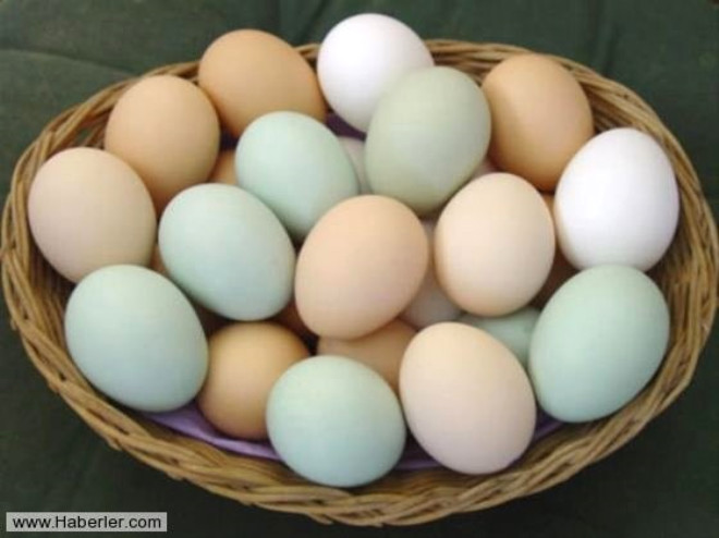 Yumurta, pek ok insann temel besin maddelerinden biridir. Ancak, Health.Com