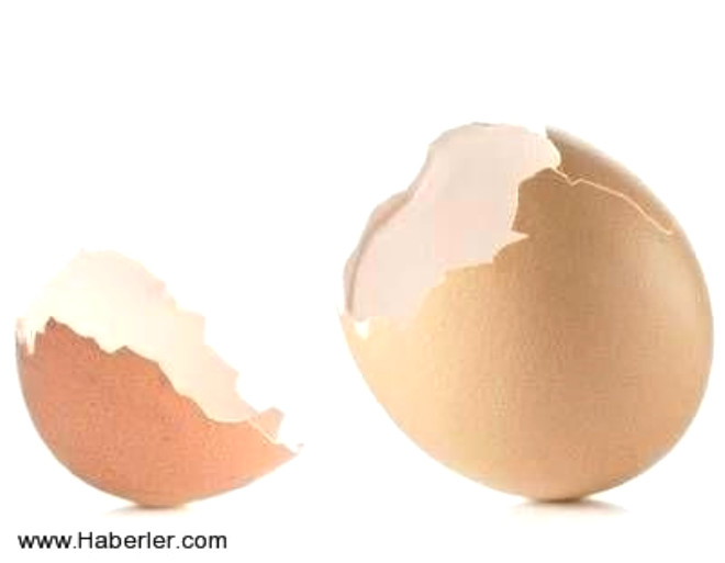 Kolay stok iin yumurtalar kp eklinde kaplarda dondurunuz ve plastik kaplara alnz. Pimi yumurtann dondurulmas tavsiye edilmez. Yumurtann beyaz ksm kauuk eklinde kalabilir.
