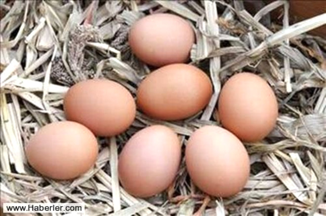 Beyaz ve kahverengi yumurta arasndaki fark nedir?/Bu konuda iki zt ama ikisi de yanl olan gr var. Kabuktaki beyaz rengin, yumurtann ideal oluumunu tamamladn gsterdiini, bunun dnda bir renk deiiminin kalitede d anlamna geldiini iddia edenlerin yan sra kabuun rengi ne kadar koyu ise besin asndan da o kadar deerli olduunu ileri srenler de var. Genellikle Avrupa lkelerinde kahverengi yumurtalar makbul saylrken ABD