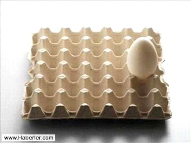 3- Yarka: 53-58 gr arlndaki yumurtalardr. Klavuz, pili ve yarka yumurtalar 24. hafta evresine kadar olan tavuklardan elde edilir. 4- Yeni Ana 58-62 gr arlndaki yumurtalardr.
