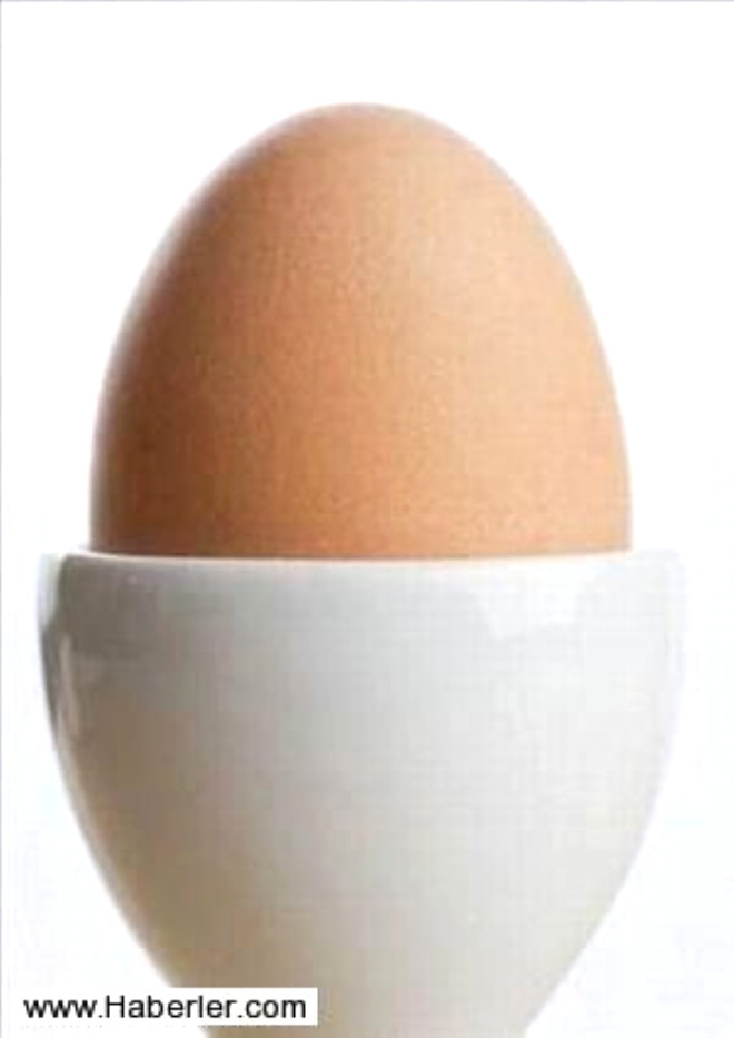 6- Duble: 67 gr ve st arlndaki yumurtalardr. Duble yumurta 34. hafta ve daha ileri evresinde olan tavuklardan elde edilir.
