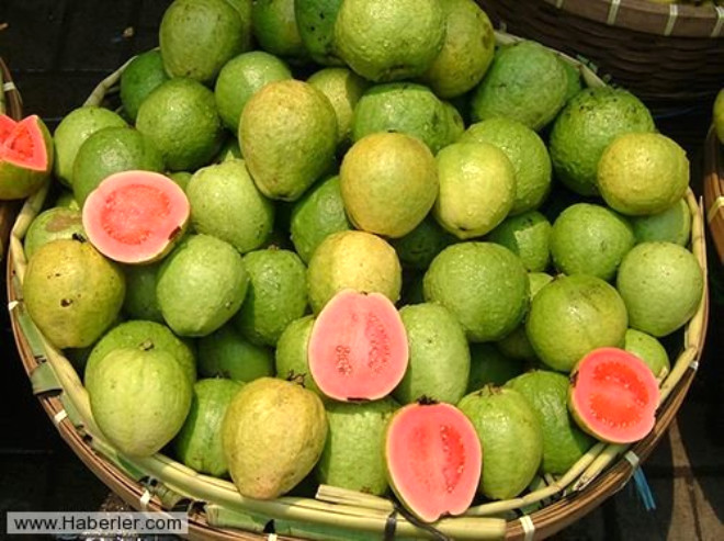 EKER HASTALII: Drt hafta boyunca guava suyu verilen eker hastas farede glikozun diyabetik kontrol grubuyla karlatnda yaklak yzde yirmi be orannda bir azalma gzlemlendi. Guava yapra baarl bir ekilde kan ekerini kontrol etmede de kullanld. 
 
