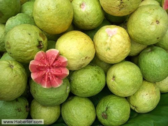 
KALP SALII: Guava kullanmnn katlmclar toplam koterolde, trigliseritte ve gelimi HDL kolesterol ile beraber, LDL("kt") kolesterolde bir azalma iareti tecrbe edindi. Kan basnlar geliti. 
 
