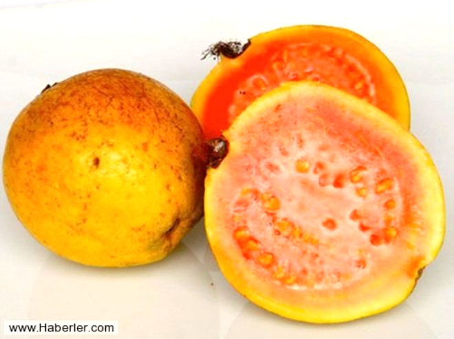 SEM VE SAKLAMA / 
 Guava taze gelir, bir macun, jle, meyve suyu ve nektar iinde konservelenir. Bunlara Latin marketlerinde kolaylkla ulalabilir.
 Olgun guava kolaylkla rr ve son derece kolay bozulur, bir ka gn ierisinde yenilmelidir.
