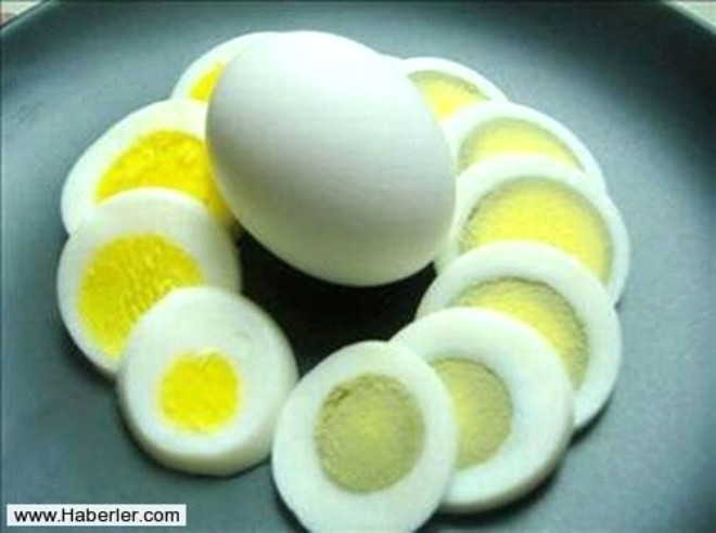 Yumurta proteini, dardan alnmas gerekli olanelzem amino asitleri