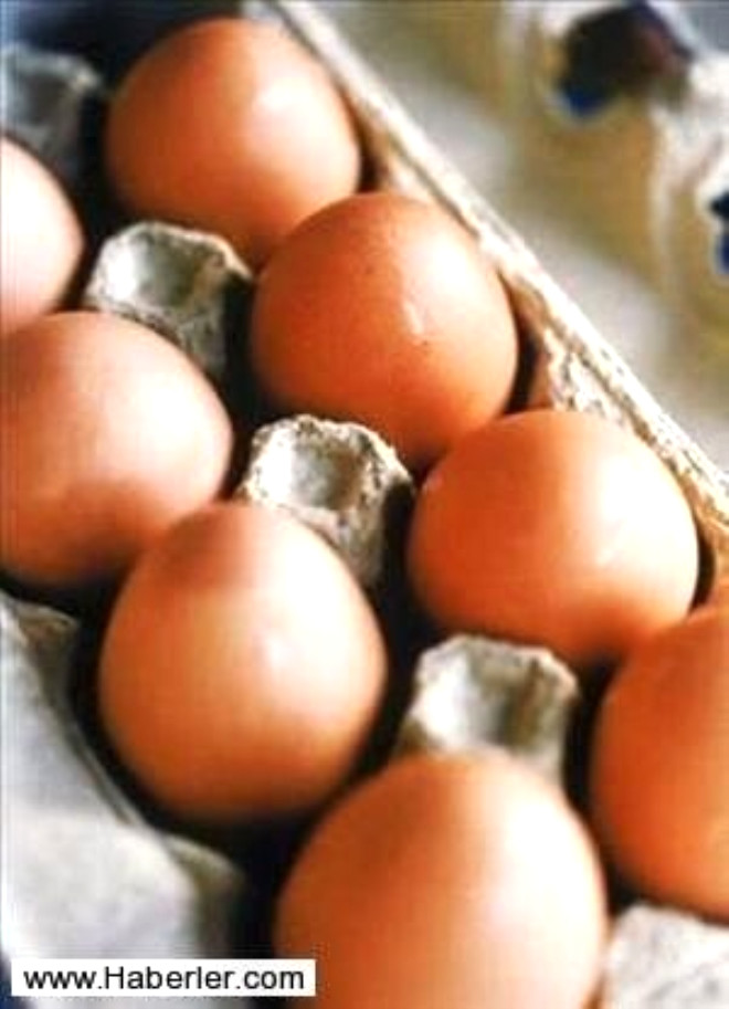 Kolin ieren yumurta, beynin geliiminde de nemli rol oynar. Yumurta konusunda dnyann farkl lkelerindeki niversitelerde de eitli aratrmalar yaplmaya devam ediliyor.
