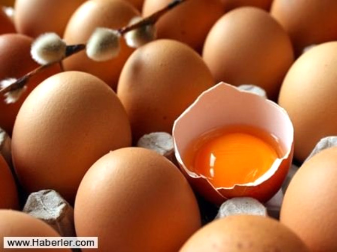 Peki marketlerde organik diye ok pahalya satlan yumurtalar u mehur "zgr gezen tavuklarn" yumurtas m? Tavuklarn hangi yemlerle beslendiini anlamak mmkn m?

 
