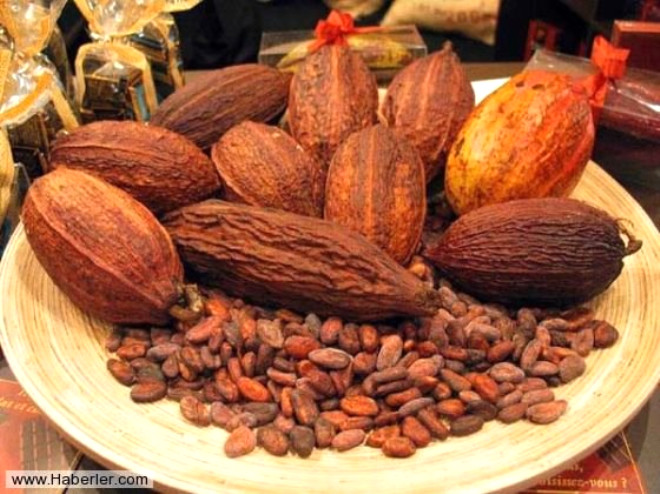 Tatl olarak bitter ikolata ve dut Yaplan yeni bir aratrma ortaya koyuyor ki, kakaoda bulunan antioksidanlar kilo alnmasn engelleyerek kan ekeri seviyesini dryor.
