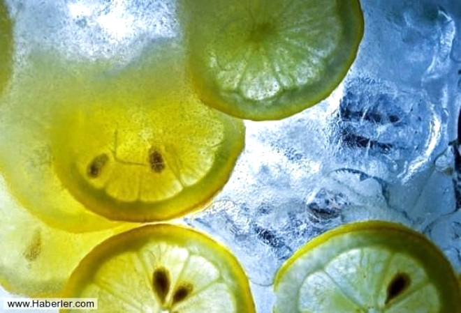 Birok hastala da yardmc olan dondurulmu limon mantar bakteri, enfeksiyon, i parazitler ve kurtlara kar da etkilidir.
