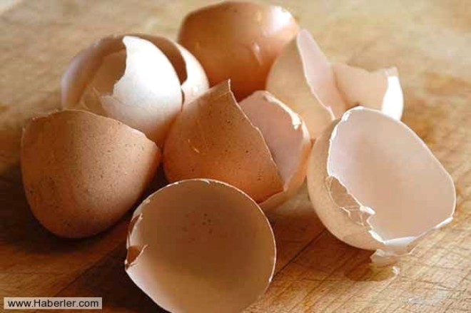 Hepiniz daha nce yumurtann ne kadar faydal olduunu duymusunuzdur peki ya kabuunun faydal olduunu duymu muydunuz? Evet yanl duymadnz bugn en fazla kalsiyum barndran eyin yumurta kabuu olduu syleniyor. 
