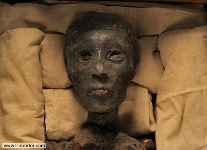 Ancak bu dnemden henz bulunamam bir baka efsanevi kraliyet mumyas var ki, ne zaman bu kraliyet mezarlnda yeni bir keif yaplsa ad gndeme geliyor: Gzel Kralie Nefertiti, Tutankhamun