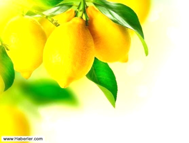 8. Limonlu su, metabolizmann almasn dzenler. Limon kuvvetli bir antioksidan olduu iin baklk sistemini de glendirir.
