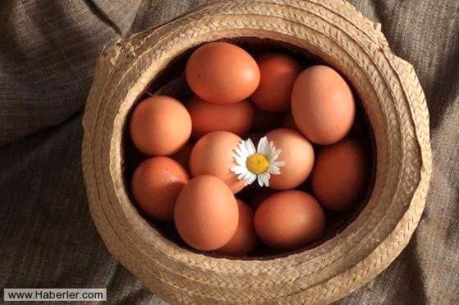 Yumurta denince aklmza ilk gelen ey kahvalt olsa da, aslnda birbirinden farkl pek ok zellii iinde barndryorlar. Yumurta hakkndaki bu 21 ilgin bilgiye bir gz atalm, bir daha yumurtay mutfanzdan asla eksik etmeyeceksiniz!
