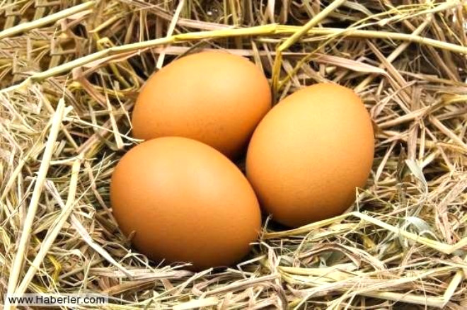 4- Yumurta kabuunda 7.000 ile 17.000 arasnda gzenek bulunur. Yumurtay dolaba koyarken kutusunda saklasanz iyi olur!
