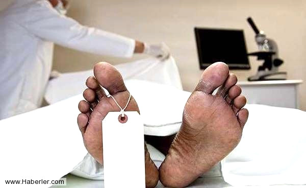 Ki�i Rabbiyle ba� ba�ad�r. D�nyadaki makam ve mevkisi, stat�s� hi� anlam ta��mamaktad�r.
