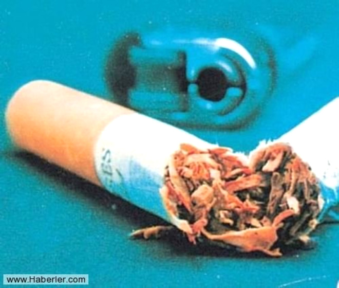 Sigara ienlerin yzde 82