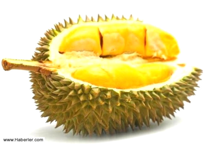 Durian meyvesi; Gneydou Asya
