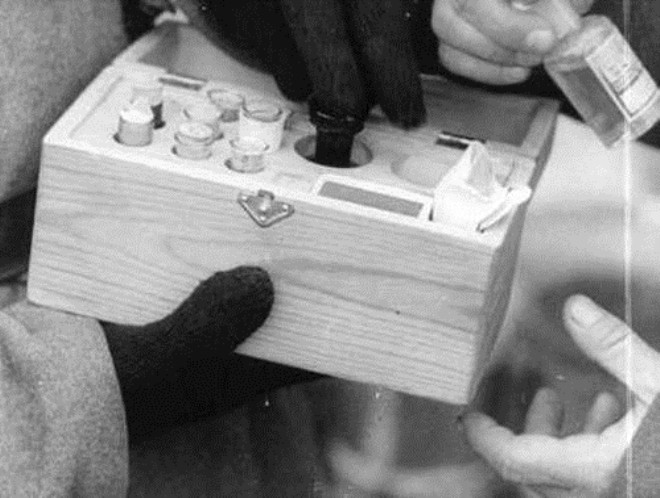 Sovyet askerleri iinde tbb deneylerde kullanlan zehir olan bir kutuyu inceliyor. 27 Ocak 1945
