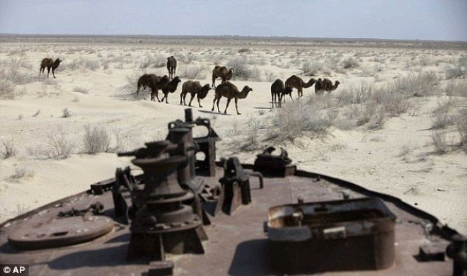 Sanrm, kurumakta olan Aral Gl