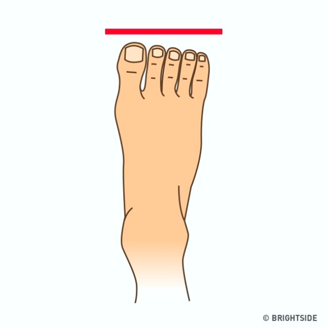 Btn parmaklarn uzunluu eit olduunda ayak keli grnr. Byle ayaklar olan insanlar sakin, makul ve pratiktir. Genellikle szlerini tutan kimselerdir.
