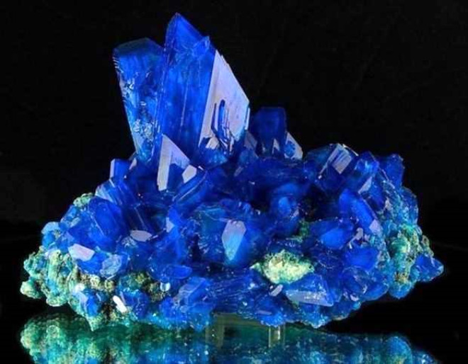 Kalkantit kristalleri suda znr ve hayati fonksiyonlarn durdurarak hem hayvanlarn hem de bitkilerin lmesine sebep olur.
