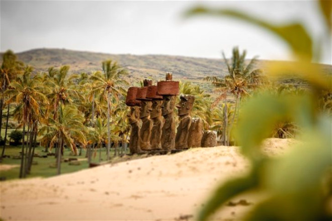 Paskalya Adasn bu kadar nemli yapan iindeki 974 adet devasa heykel. 288 Moai heykeli ta platformlar zerinde ve dier heykellerin tamam dizili deil. 600 tane olan Moai, adann farkl yerlerinde bulunuyor. 600