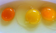 Sizce Bu Yumurtalardan Hangisi Sağlıklı Bir Tavuğa Ait?