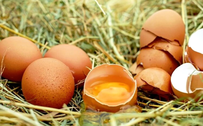 Yumurta son derece besleyici bir gdadr. Yumurtada bulunan kolin bileeni beynin problem zme yeteneini, hafzay ve sosyal becerileri artrmaktadr. Diyetistenler, Yumurtadan maksimum fayda salamak iin sarsn da yenmesi gerektii konusunda tavsiyede bulunuyorlar.
