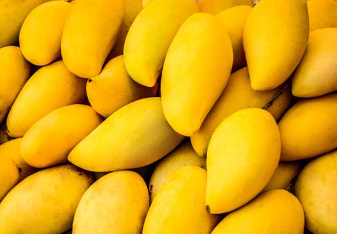 
Mango, kolesterol seviyelerini azaltabilen yksek seviyelerde C vitamini, lif ve pektin ierir . Mango ayrca, vcudumuzun su kullanma eklini dzenleyen potasyum-sodyum dengesinin kritik bir paras olan bir ok potasyum ierir. Ve elbette, mangolar da ok fazla su ierir. Bu, dzenli tketimin yksek kolesteroln bir srcs olan dehidrasyonu nlemeye yardmc olabilecei anlamna gelir.