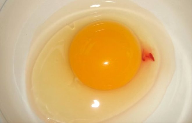 Mutfaklarımızın demirbaşı olan yumurtaların kimisinde kan lekesine denk gelmek mümkün. İşte bu alışık olmadığımız görüntü akıllara soru işareti yerleştirdi: "Kan lekeli yumurtaları yemek doğru mu?"