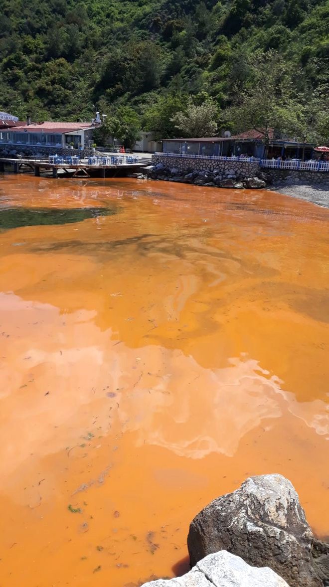 Vatandalardan gelen ihbarlar zerine Bykehir Belediyesi Sahil Hizmetleri ube Mdrl tarafndan yaplan incelemede, renk deiiminin alg patlamasndan kaynaklad belirlendi.