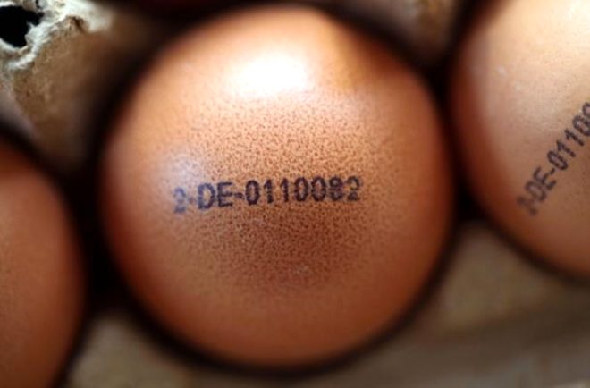Kmes tavuu yumurtalarnn ise kodu 2 ile balayacak ekilde dzenlenmi durumda. Piyasada en fazla bu kodla damgalanm yumurtalarla karlaabilirsiniz. 0 ve 1