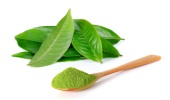 Matcha: Kilo Ynetiminde Sessiz Bir Kahraman