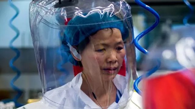 'Yarasa kadın'dan tüm dünyaya uyarı: Koronavirüs, buz dağının yalnızca görünen yüzü