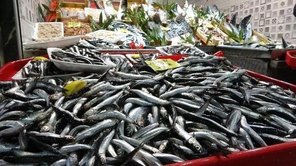Ünlü gurme Vedat Milor, deniz ürünlerindeki tehlikeye dikkat çekti: Midye yemek, pil yemek gibidir