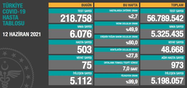 Son Dakika: Türkiye'de 12 Haziran günü koronavirüs nedeniyle 75 kişi vefat etti, 6 bin 76 yeni vaka tespit edildi