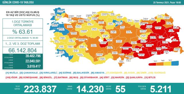 Son Dakika: Türkiye'de 25 Temmuz günü koronavirüs nedeniyle 55 kişi vefat etti, 14 bin 230 yeni vaka tespit edildi